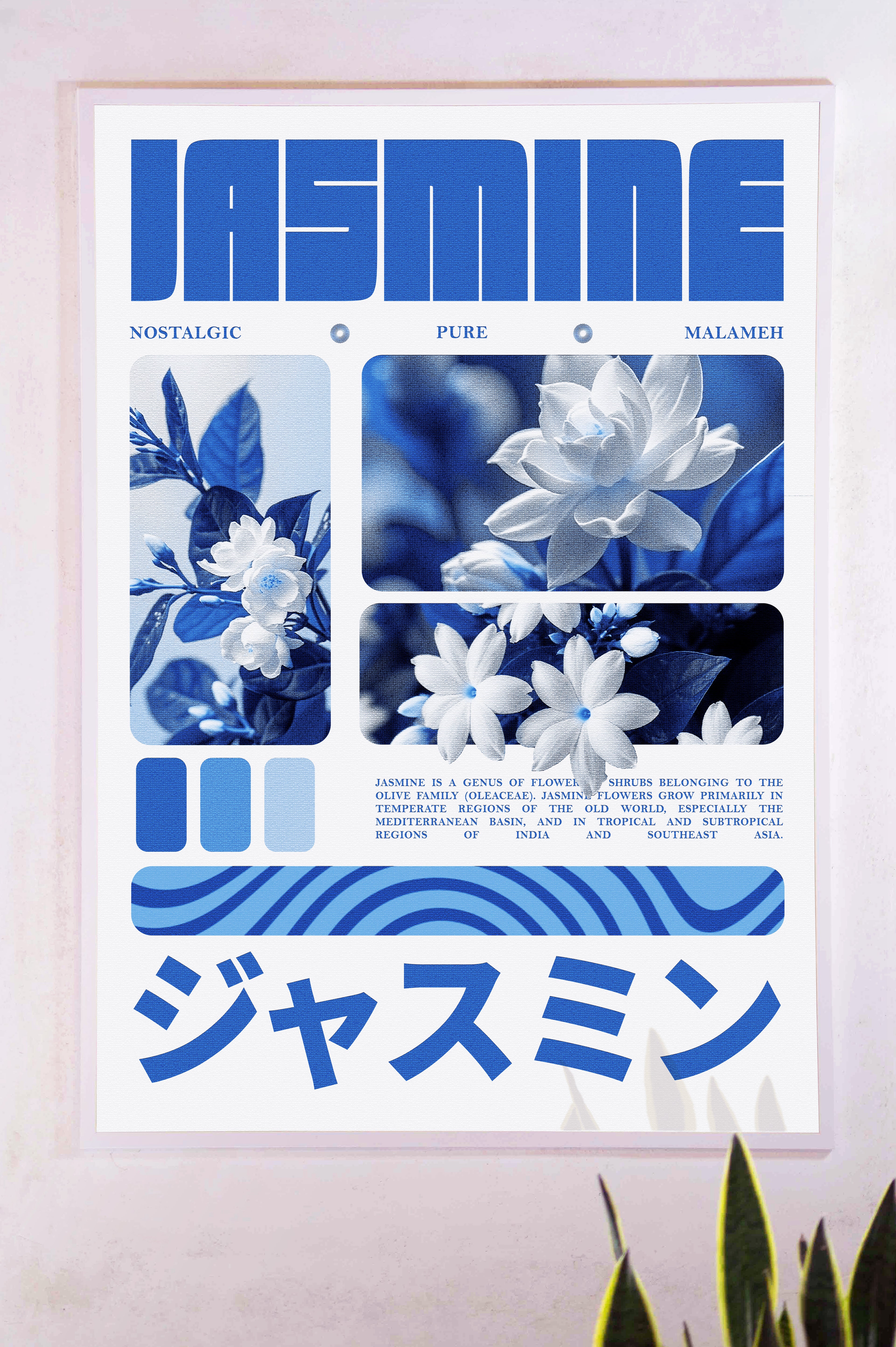 Jasmine
