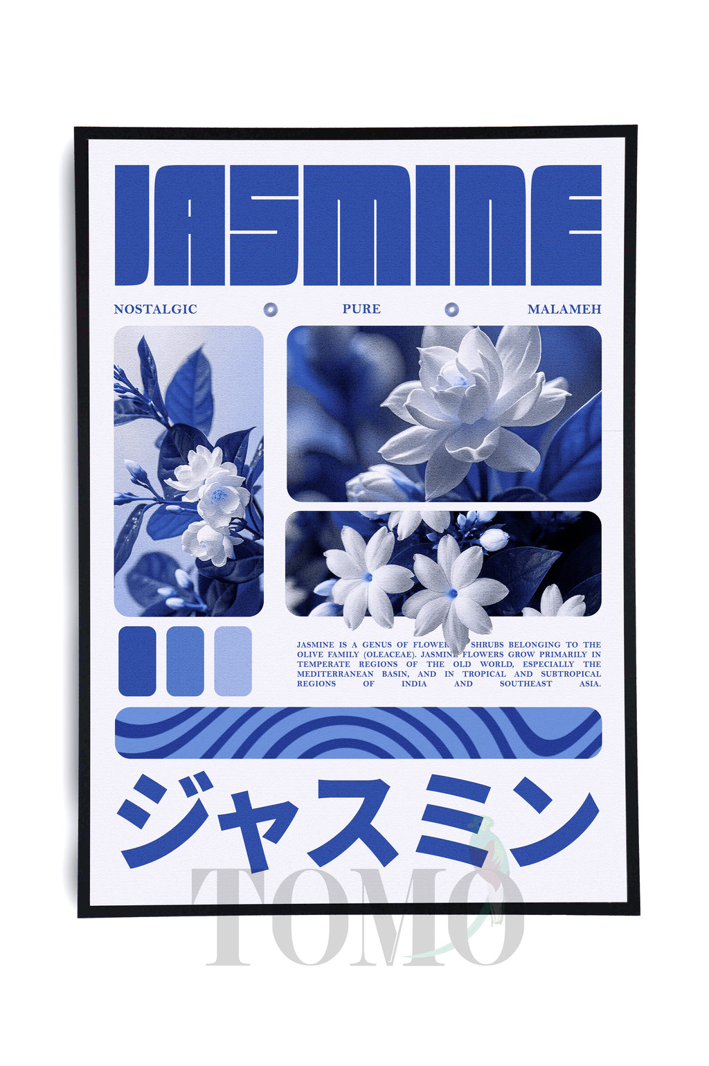 Jasmine