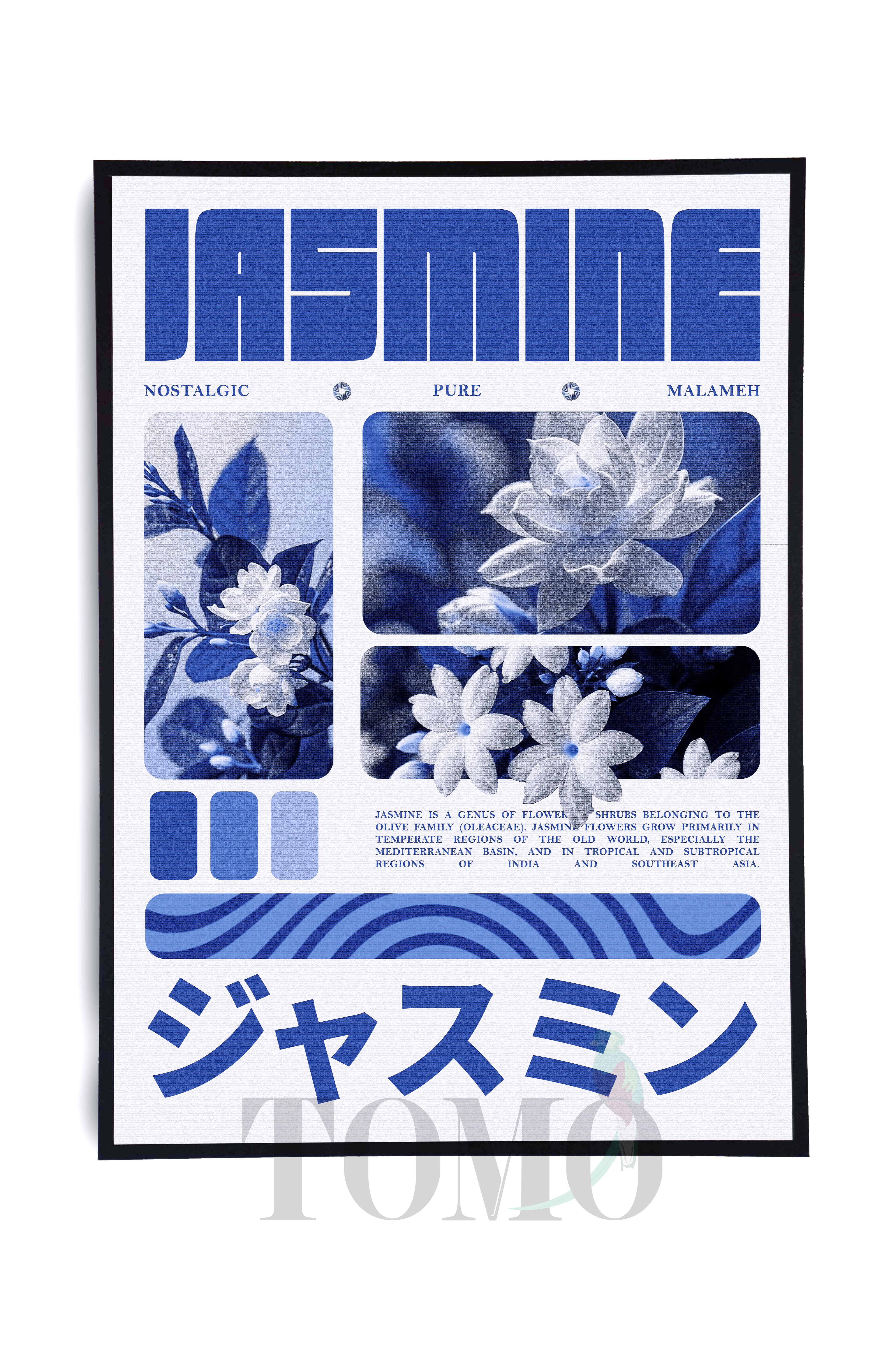 Jasmine