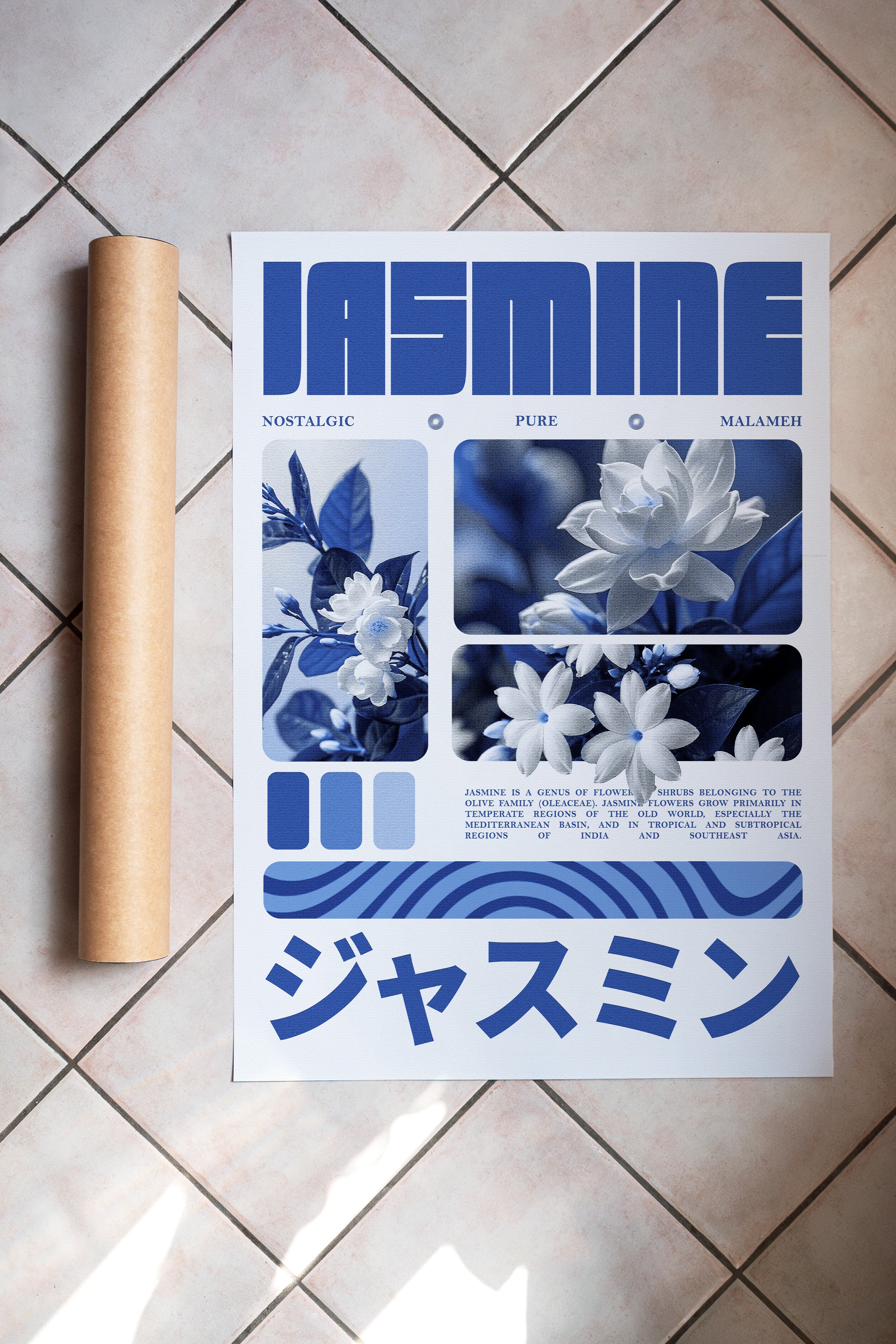 Jasmine