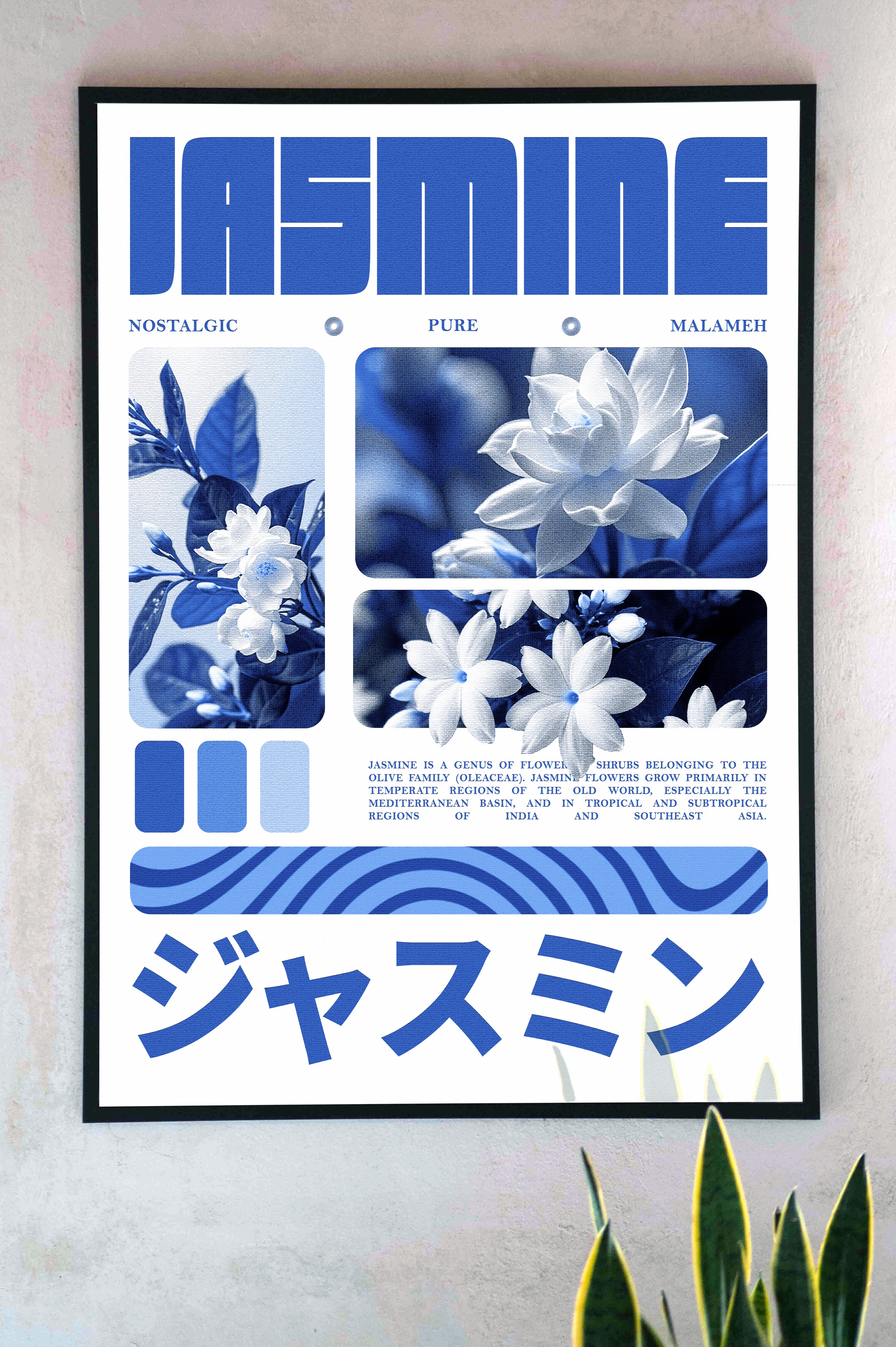 Jasmine